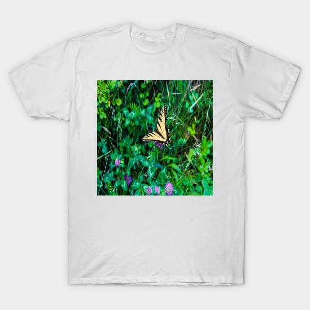 A Butterfly Using Its Wings T-Shirt by Seven Mustard Seeds